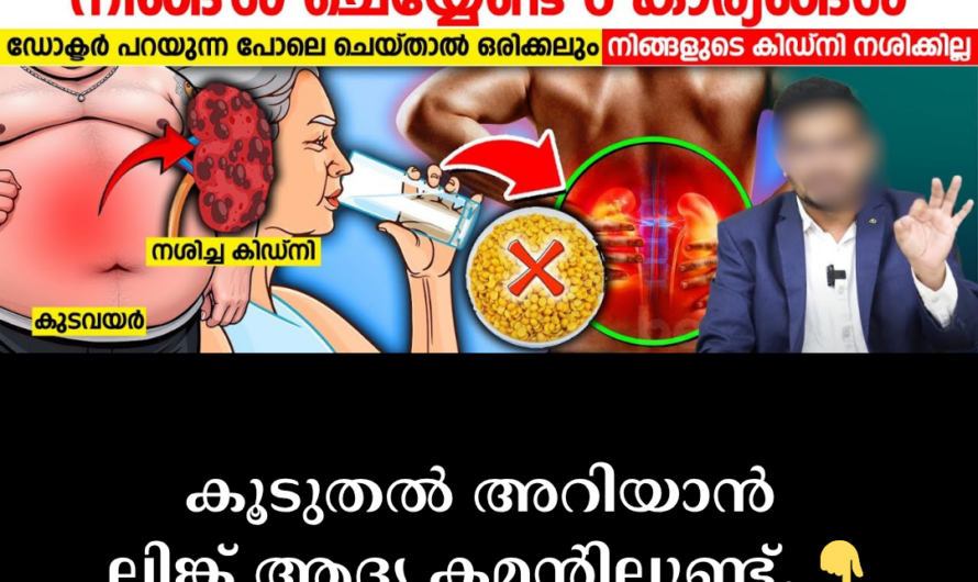 Is your kidney health at risk? Causes and solutions for increased creatinine