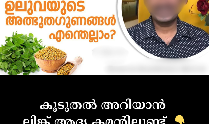 Make a spoonful of fenugreek a habit every day! 5 amazing benefits that help prevent everything from diabetes to hair loss