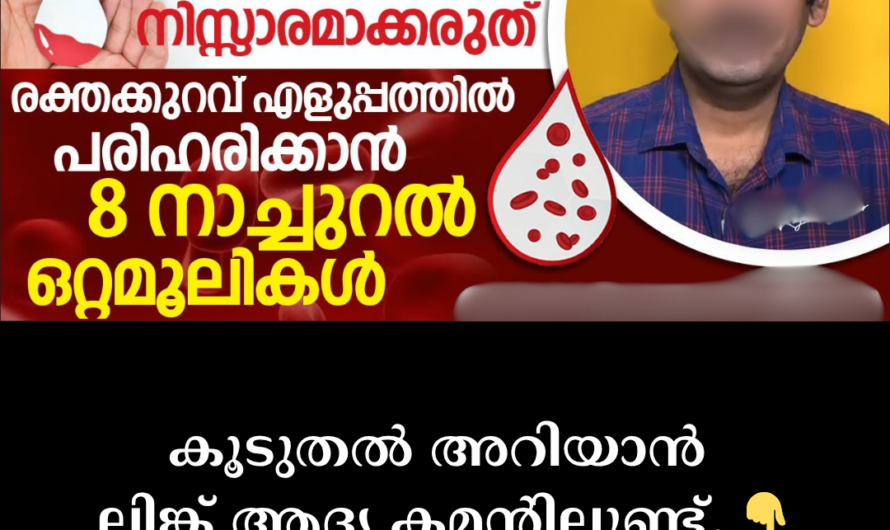 In the same format you requested, the article on the main causes of anemia is given below: