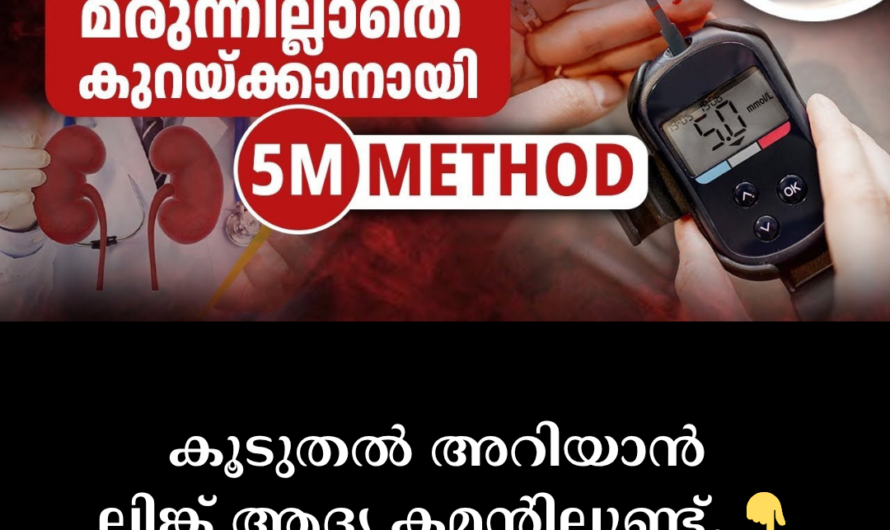 In the same format you requested, the article on the main factors that help in controlling and reversing diabetes (Diabetes Management & Reversal) is given below: