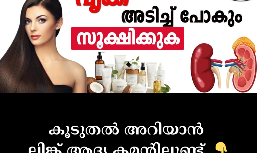 Are the kidneys in danger? 5 main reasons that destroy their functionality