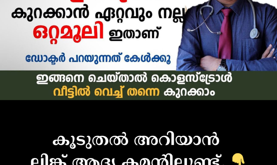 Is Cholesterol Increasing? Know These 5 Causes That Threaten Heart Health