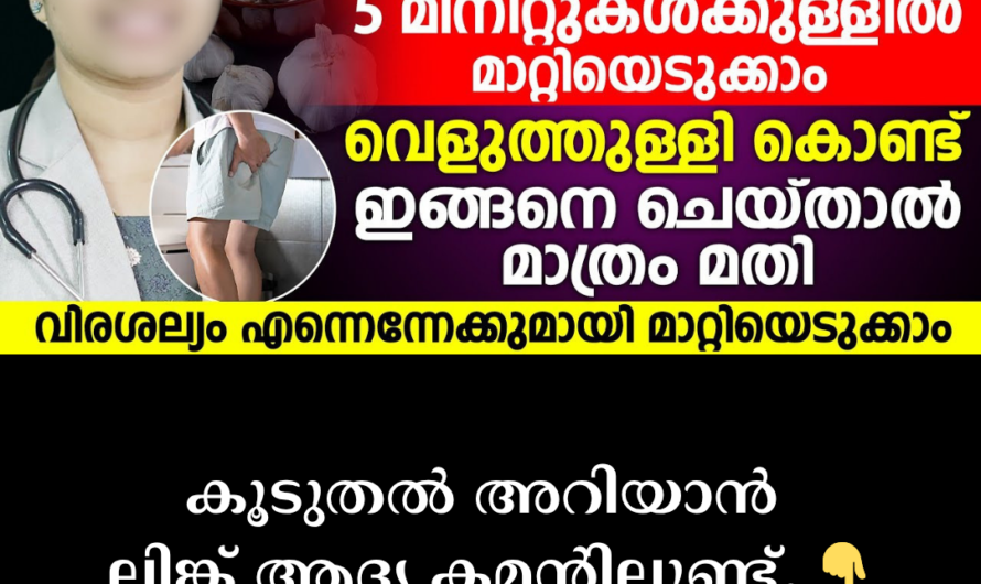 In the same format you requested, the article on the main causes of intestinal worms is given below: