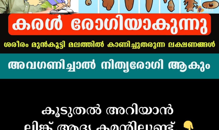 The intestines and liver are the engines of the body; 5 things that can damage their health