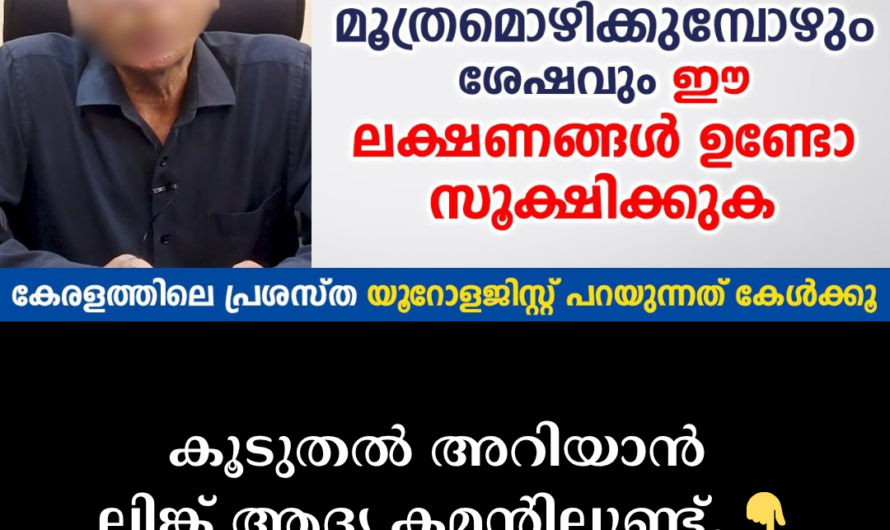 Prostate Health Men Should Know; 5 Things That Can Cause Problems