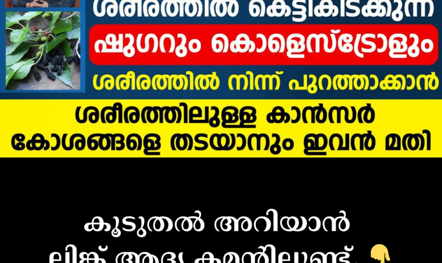 Do diabetes and cholesterol go together? 5 main reasons to watch out for