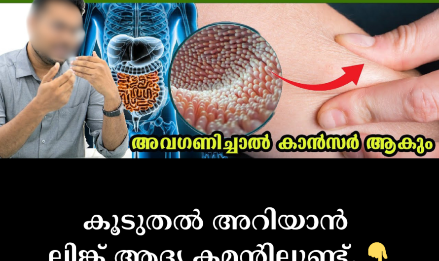 Are you suffering from digestive problems? 5 main reasons that lead to intestinal diseases