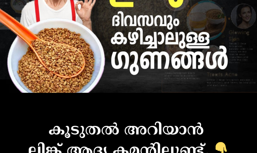 What happens to the body if you eat fenugreek daily; 5 great benefits of this tiny seed