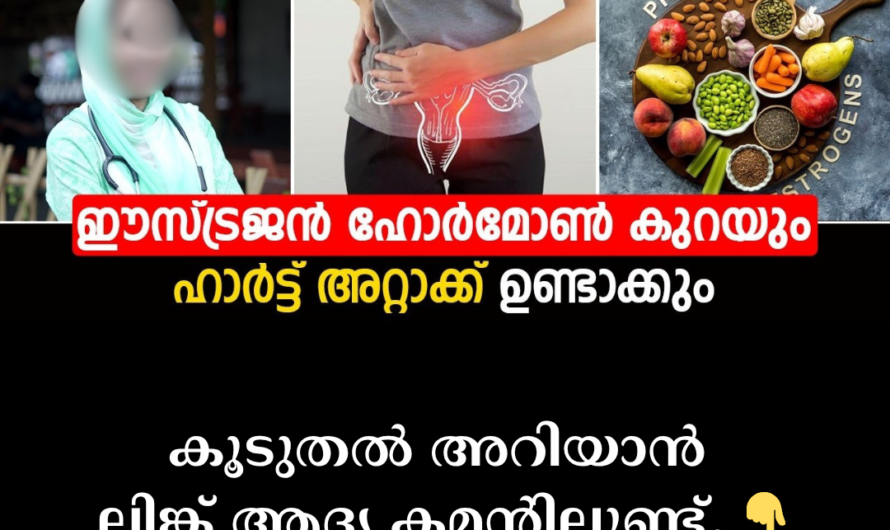 Heart Attacks Don’t Happen Suddenly; 5 Major Lifestyle Mistakes That Cause It