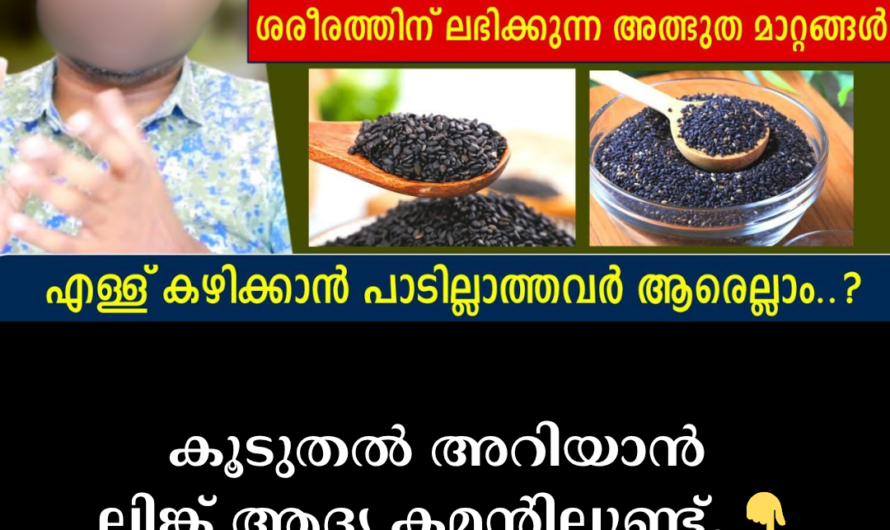 Chew a spoonful of sesame seeds every day! 5 amazing changes that happen in the body