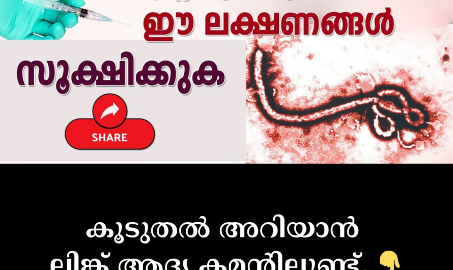 The deadly villain that causes bleeding all over the body! Scientific reasons behind the Ebola virus infection