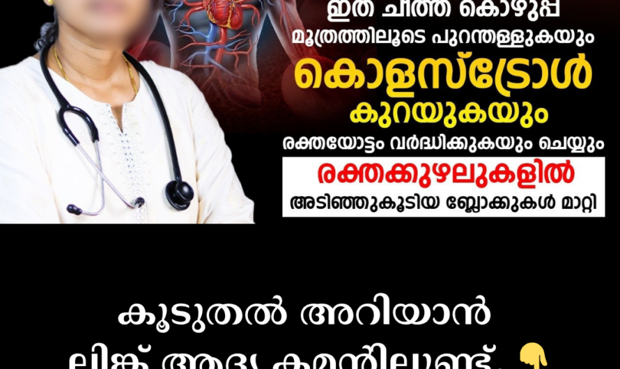 A silent villain with no symptoms at first! 5 main reasons behind fatty liver