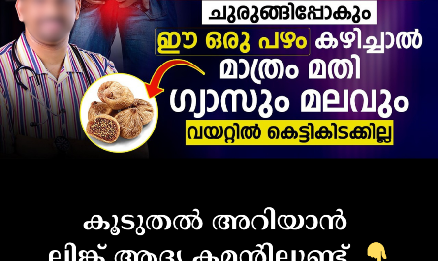 Severe pain and bleeding during bowel movements! 5 main scientific reasons behind piles