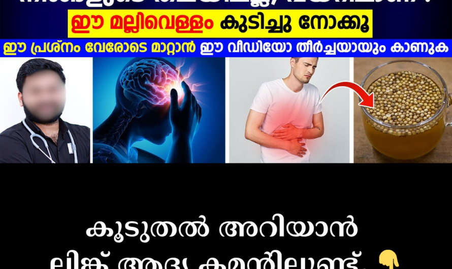 Severe pain that persists on only one side of the head! 5 main scientific reasons behind migraine