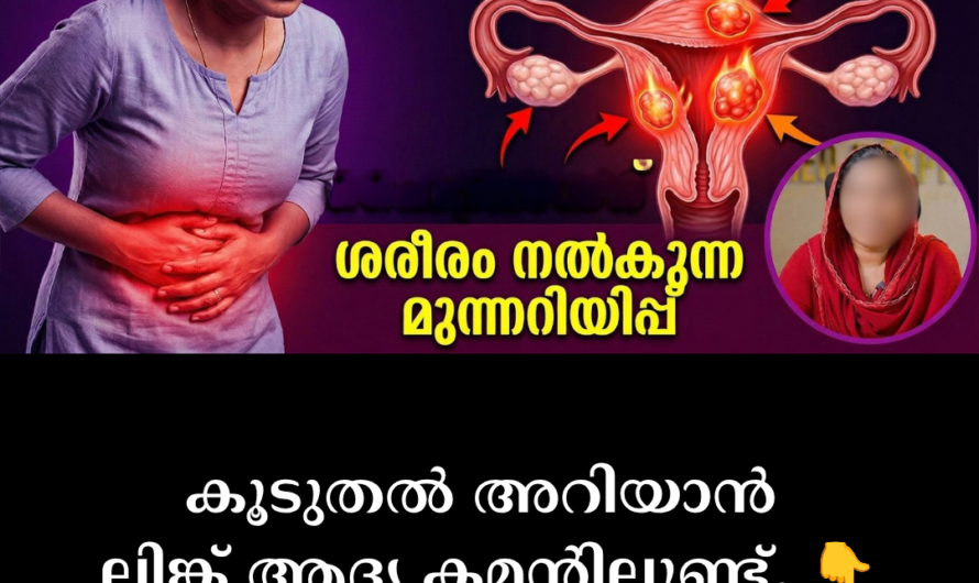 Uterine Fibroids! 5 Major Scientific Reasons Behind Uterine Fibroids