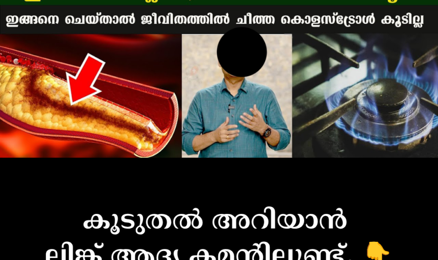 The silent villain that leads to heart attacks! 5 main scientific reasons behind high cholesterol