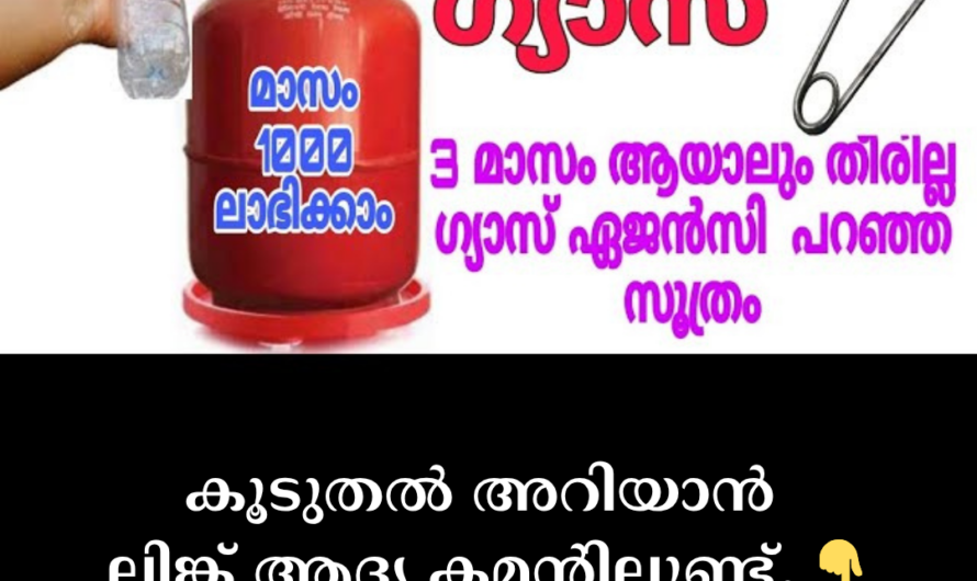 5 important things that will help the cylinder last up to 4 months