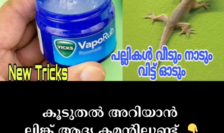 Why Does Vicks Repel Lizards? (The Reason)
