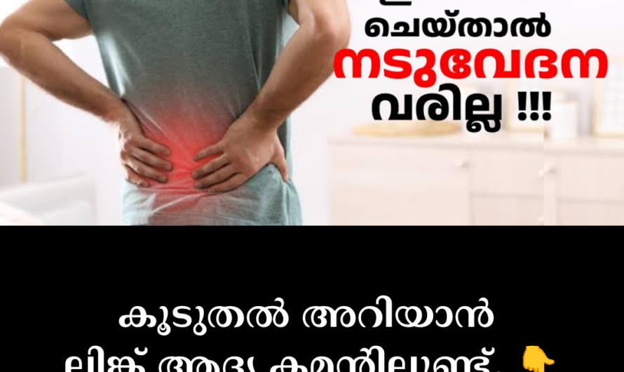 Most people experience back pain at least once in their lives. The main reasons for this are as follows: