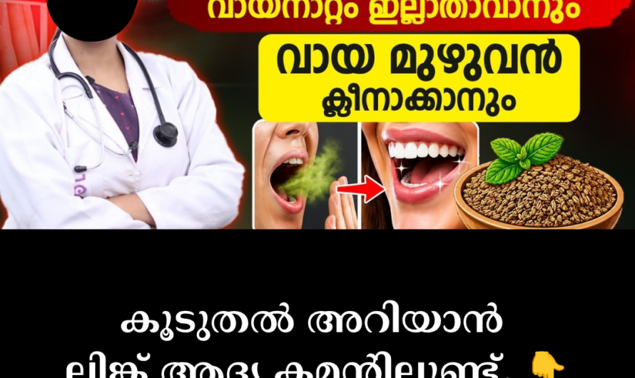 . The main reasons for bad breath are as follows: