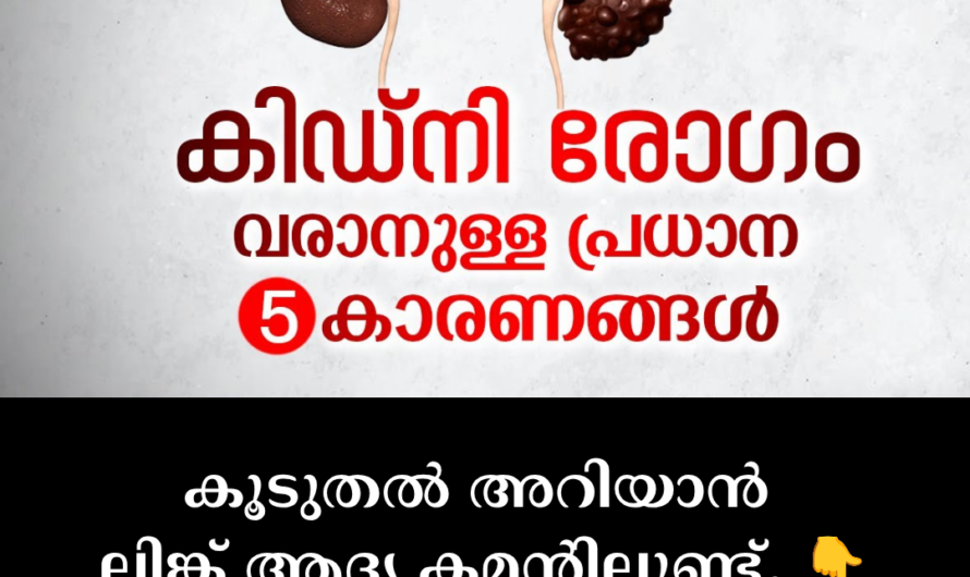 The main causes of kidney diseases are as follows: