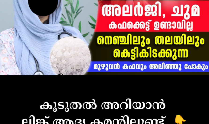 Reasons for allergies Environmental factor