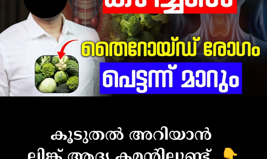 Main causes of thyroid diseases
