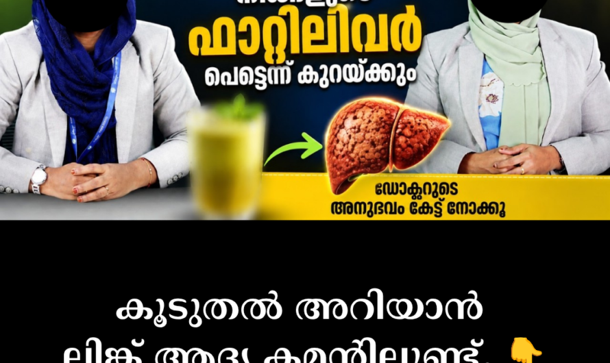 The main reasons for fatty liver are as follows: