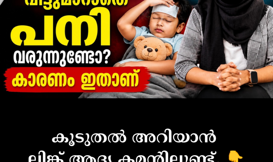 The main causes of frequent fever in children are given below: