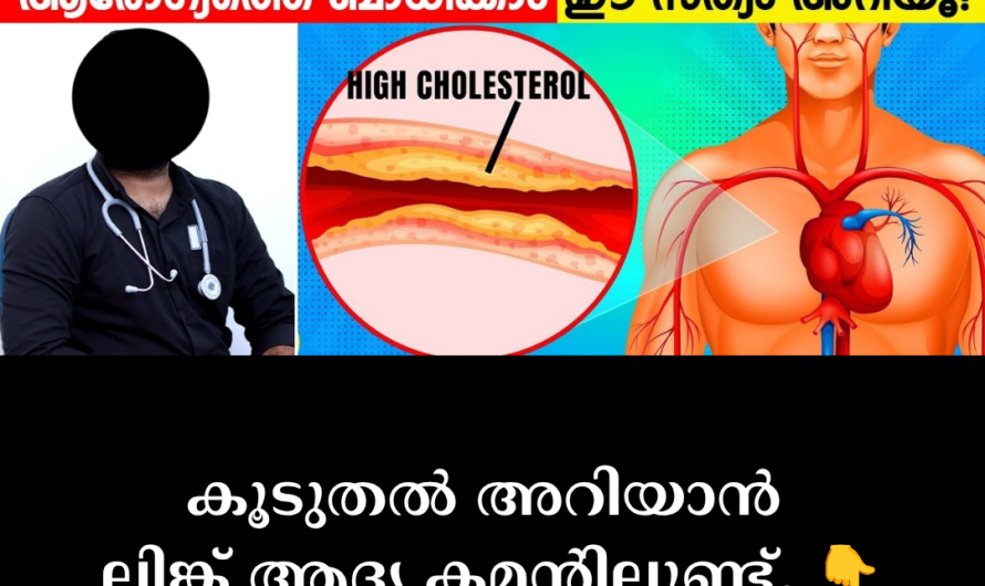 Main causes of high cholesterol